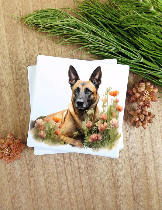 These are ceramic coasters that feature Dog Breeds. Look at all the ads for the breed you are looking for or message me and I will get it.